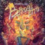 CD Berroguetto: Navicularia