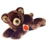 Ancares Highland Bear