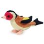 Mondoñedo Goldfinch