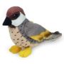 Vigo Sparrow