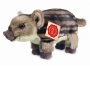Wild Boar Piglet