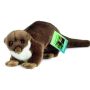 Nutria de Allariz