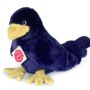 Xallas Raven