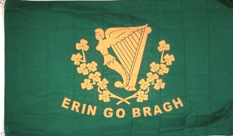 thumbnail image 2 of Son’s Of Erin & Erin Go Bragh 3x5 Foot Flag Set – Irish Pride 2-Pack Polyester 2 of 4