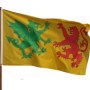 Swabian Royal Standard of Gallaecia