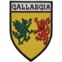 Gallaecia Shield Patch