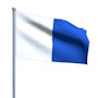 Couto Mixto Flag