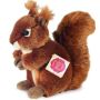 Ortigueira Red Squirrel